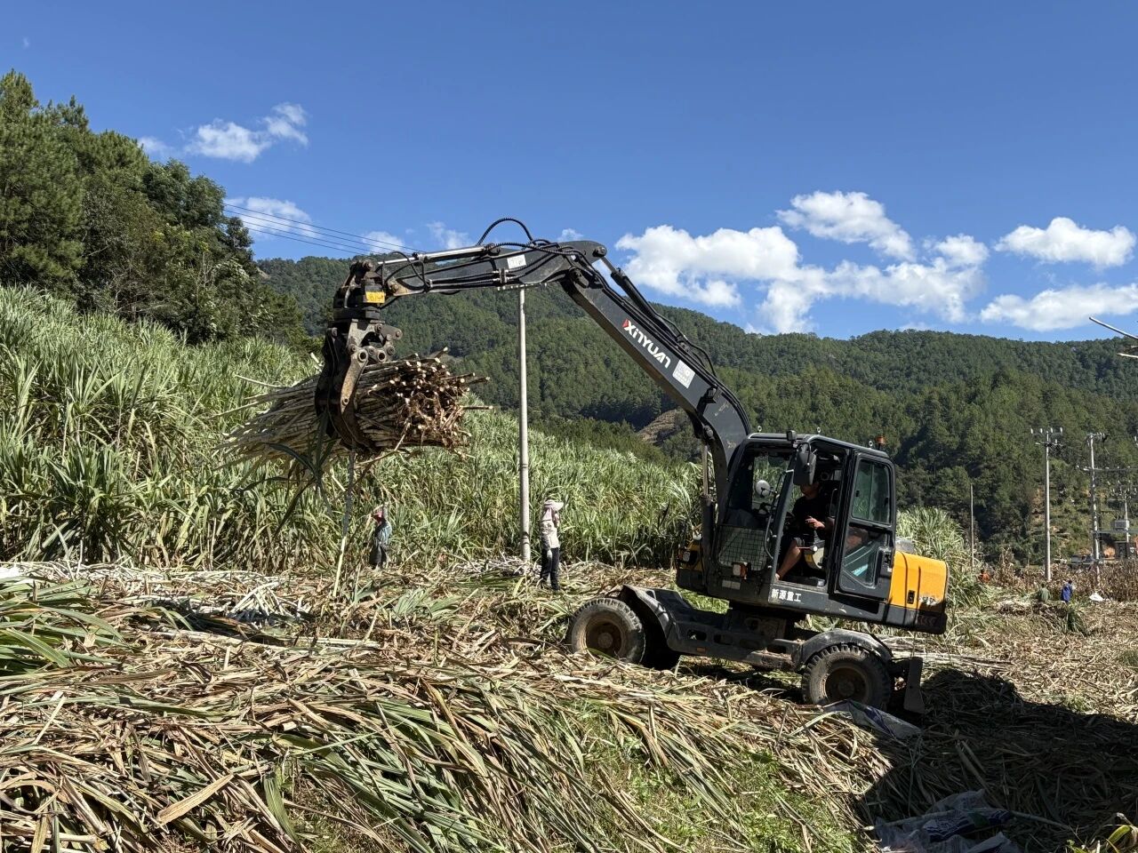 澜沧县糯扎渡：从绿浪翻涌到全链生金，“一根甘蔗”甜透产业路
